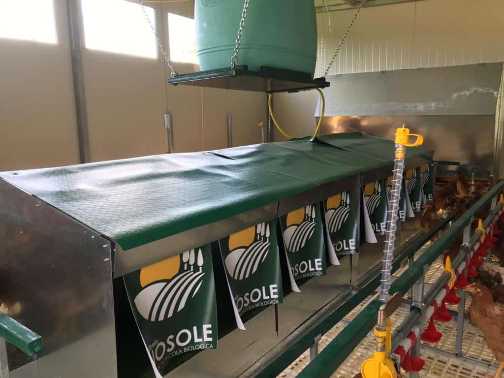 Uova Biosole biologiche Nostrale